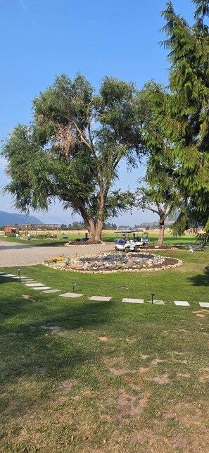 A park with a large tree, a golf cart, and a stone pathway.