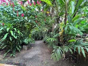 Un sendero en un jardín rodeado de abundante vegetación y plantas con flores.