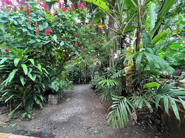A garden pathway surrounded by lush greenery and flowering plants. - Private Lion's Den in Playa Cocles (Cocles)