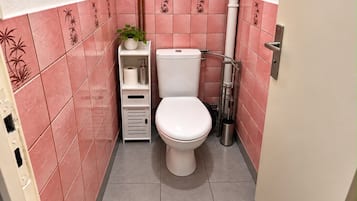 A compact bathroom with a toilet, a shelf with toiletries, and a potted plant.