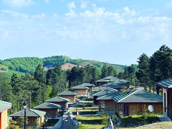 A row of wooden cabins with green roofs, surrounded by lush greenery and hills in the background.