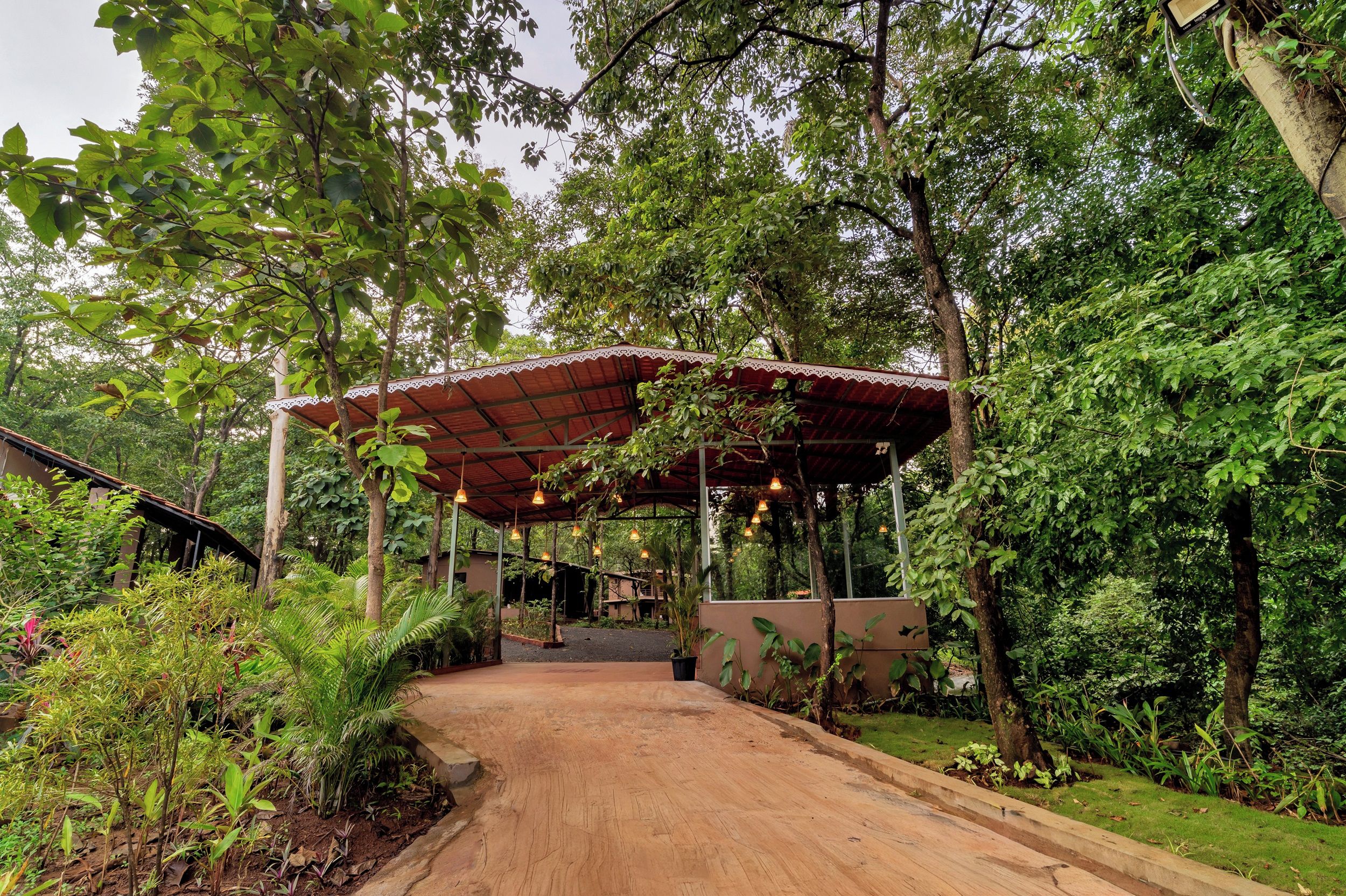 A covered walkway with hanging lights, surrounded by lush greenery and trees.