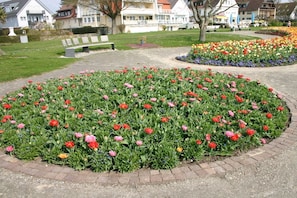 A circular flower bed with a variety of tulips in full bloom, surrounded by a paved walkway. - Holiday home with 1 bedroom (Uhldingen - Mühlhofen)