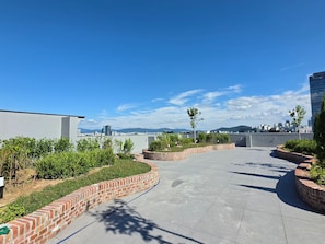 A rooftop terrace with a curved brick pathway, greenery, and a city skyline in the background.