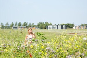 A child in a field with various wildflowers, with residential buildings in the background. - Holiday apartment 66 (Ellemeet)