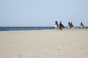 A beach with a group of people riding horses. - Holiday apartment with 1 bedroom (Kolobrzeg)