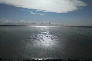 Ein Strand mit ruhiger See und blauem Himmel.
