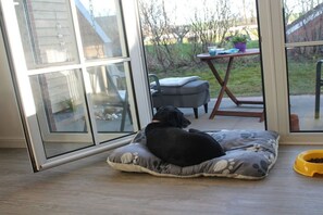 Ein Hund ruht auf einem Hundebett neben einer Glasschiebetür, draußen sind ein Patio-Tisch und -Stühle zu sehen.