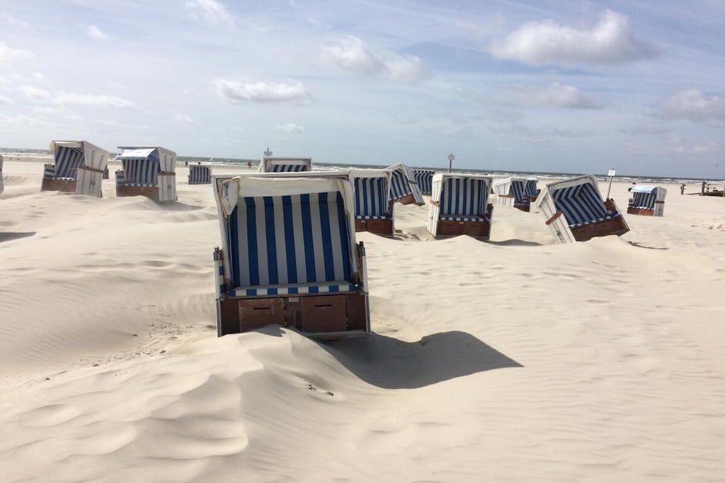 A beach with rows of striped beach chairs and umbrellas.