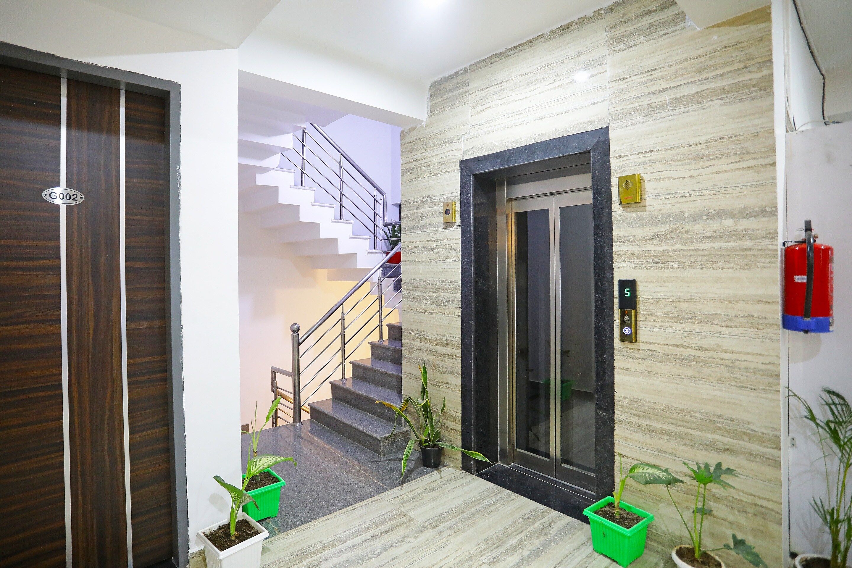 Un interior modern amb una porta de fusta, unes escales, un ascensor i plantes en testos.