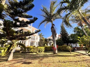 Ein angelegter Garten mit Palmen und einem Gebäude im Hintergrund.