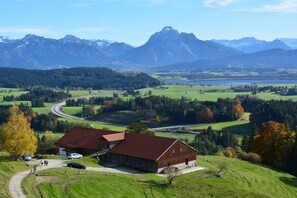 Ländliche Landschaft mit einem Bauernhof, einer kurvenreichen Straße und einem See in der Ferne.