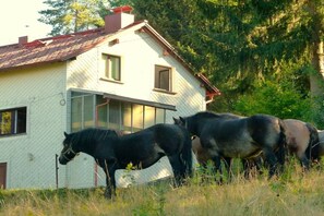 Una casa con techo inclinado y patio cercado.