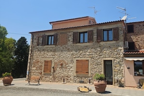 A two-story stone building with wooden shutters, a satellite dish, and potted plants. - Apartment Sicomoro, pool and countryside (Scansano)
