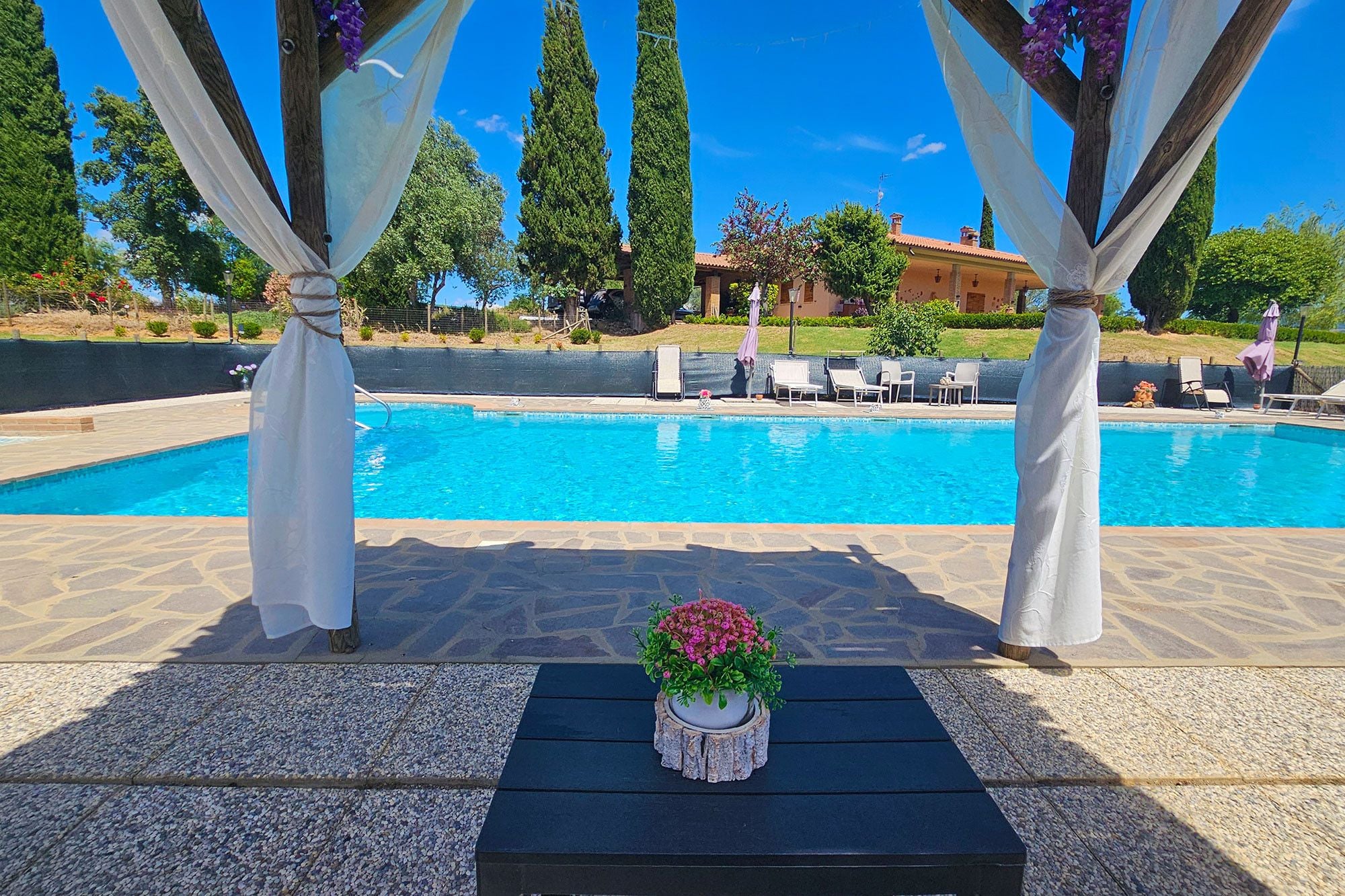 Una piscina con una pérgola, una planta en maceta y sillas de descanso.