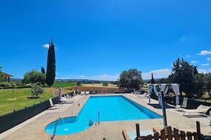 A rectangular swimming pool with a stone border, surrounded by lounge chairs and umbrellas, set against a backdrop of trees and a clear sky. - Apartment Benefizio, pool and tuscan nature (Scansano)