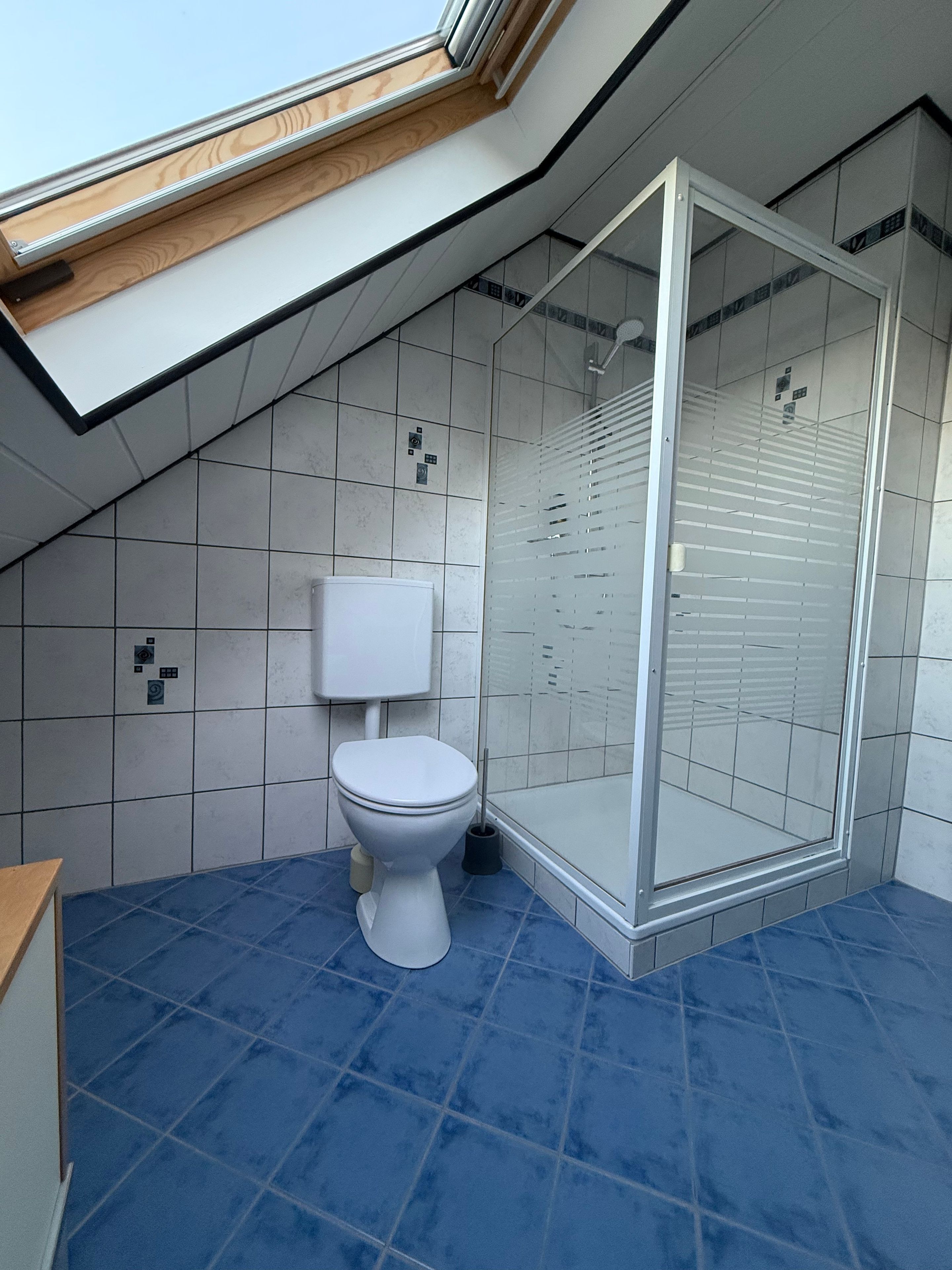 A modern bathroom with a skylight, white tiles, a toilet, and a glass shower enclosure.