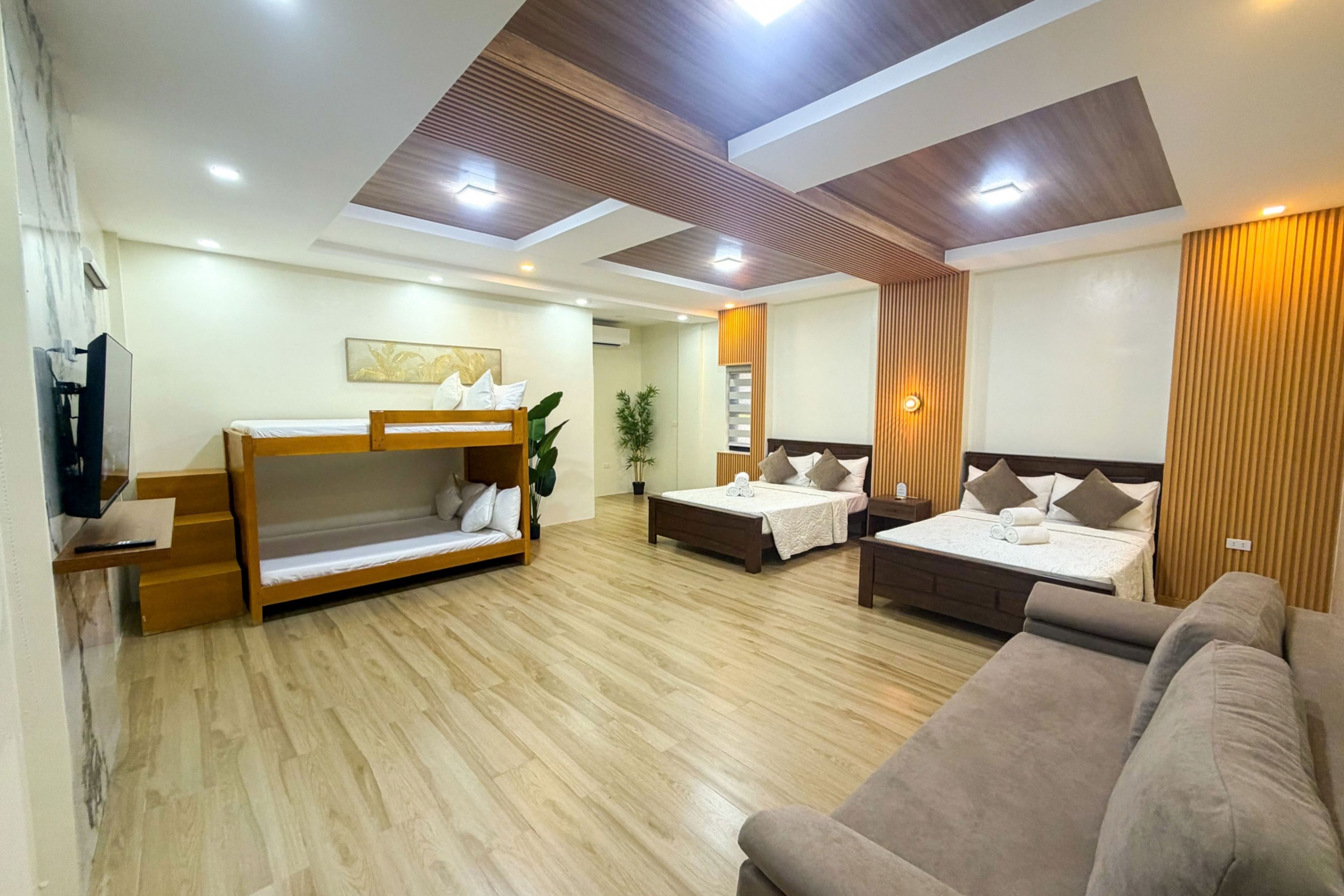 A hotel room with a bunk bed, a sofa, a desk, and a potted plant.