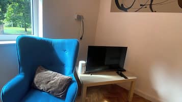 A room with a blue armchair, a television on a white stand, a herringbone-patterned wooden floor, and a large window with a view of trees.