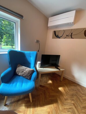 A room with a blue armchair, a television on a white stand, a herringbone-patterned wooden floor, and a large window with a view of trees. - Studio with air conditioning and bike storage (Huy)