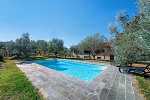 A rectangular swimming pool with a stone border, surrounded by grass and trees.