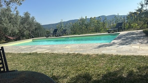 Ein Schwimmbecken mit klarem, blauen Wasser, umgeben von einer Steindeck und Rasenfläche.