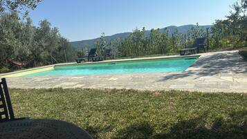 A swimming pool with a clear blue water edge, surrounded by a stone deck and grass.