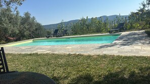 Ein Schwimmbecken mit klarem, blauen Wasser, umgeben von einer Steindeck und Rasenfläche.
