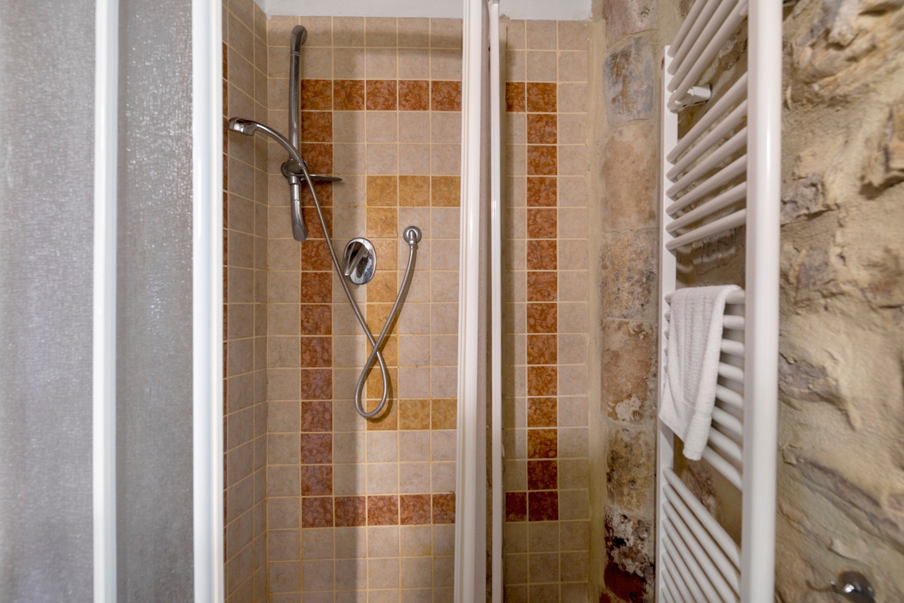 Une douche équipée d’un pommeau de douche à main et d’un pommeau de douche fixe, avec des murs carrelés et un porte-serviettes.