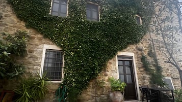 A stone building with ivy-covered walls, a door, and windows.
