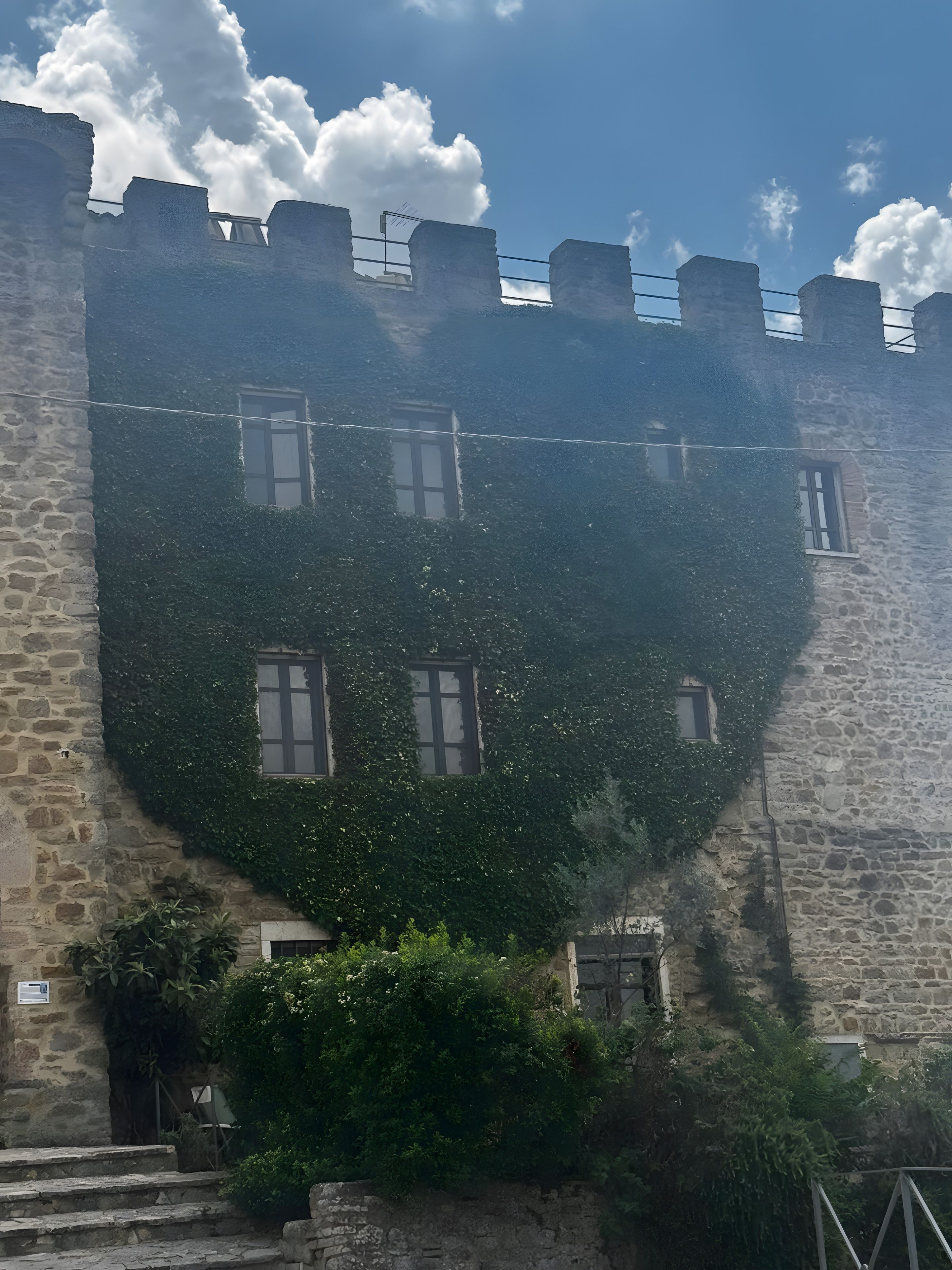 A stone building with ivy-covered walls and multiple windows.