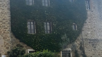 A stone building with ivy-covered walls and multiple windows.