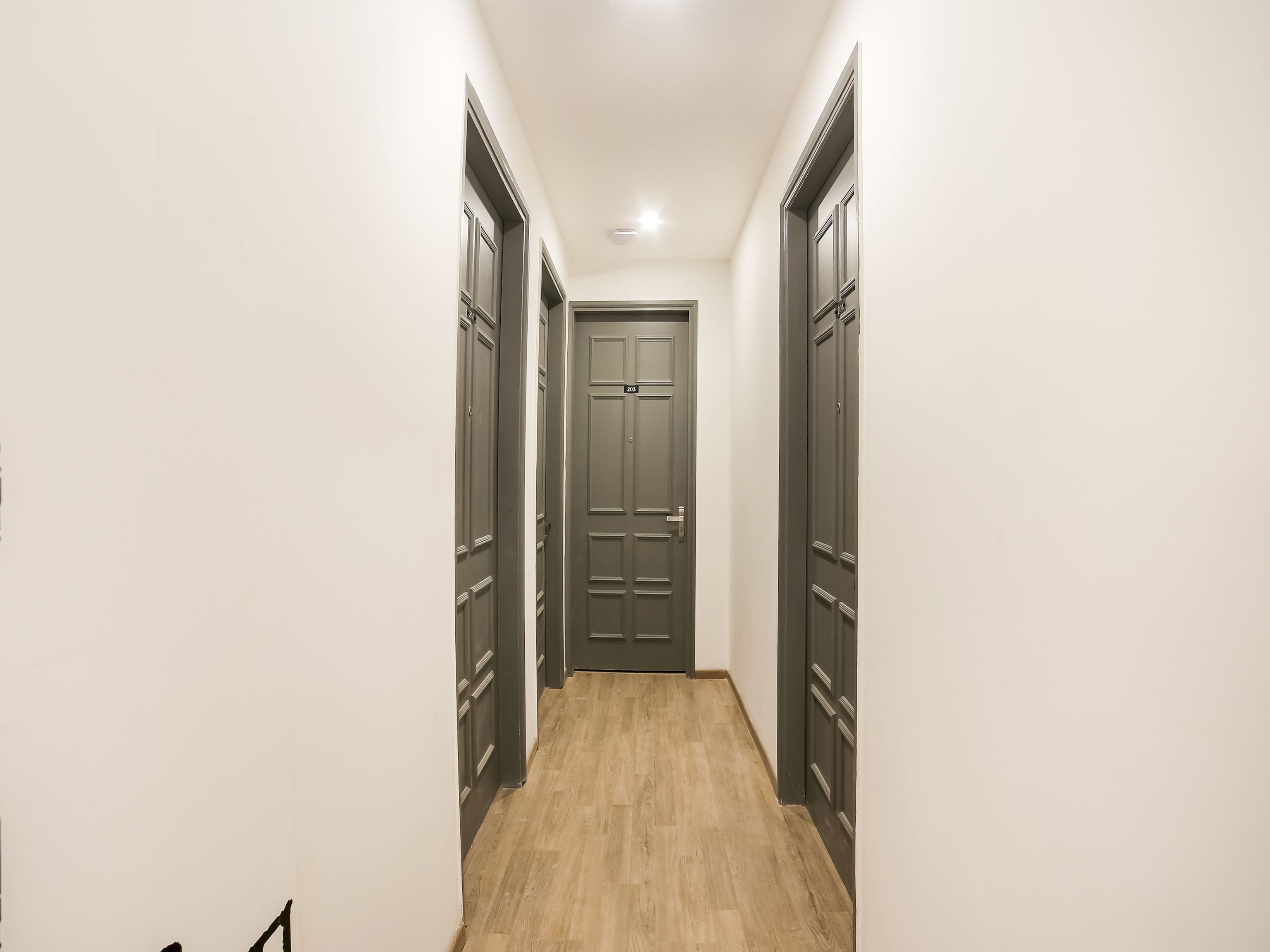 A narrow hallway with wooden flooring and dark-colored doors on both sides.