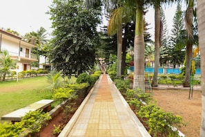 A pathway lined with greenery and palm trees, leading to a building with a balcony. - O NILA RESORTS (Yelagiri)
