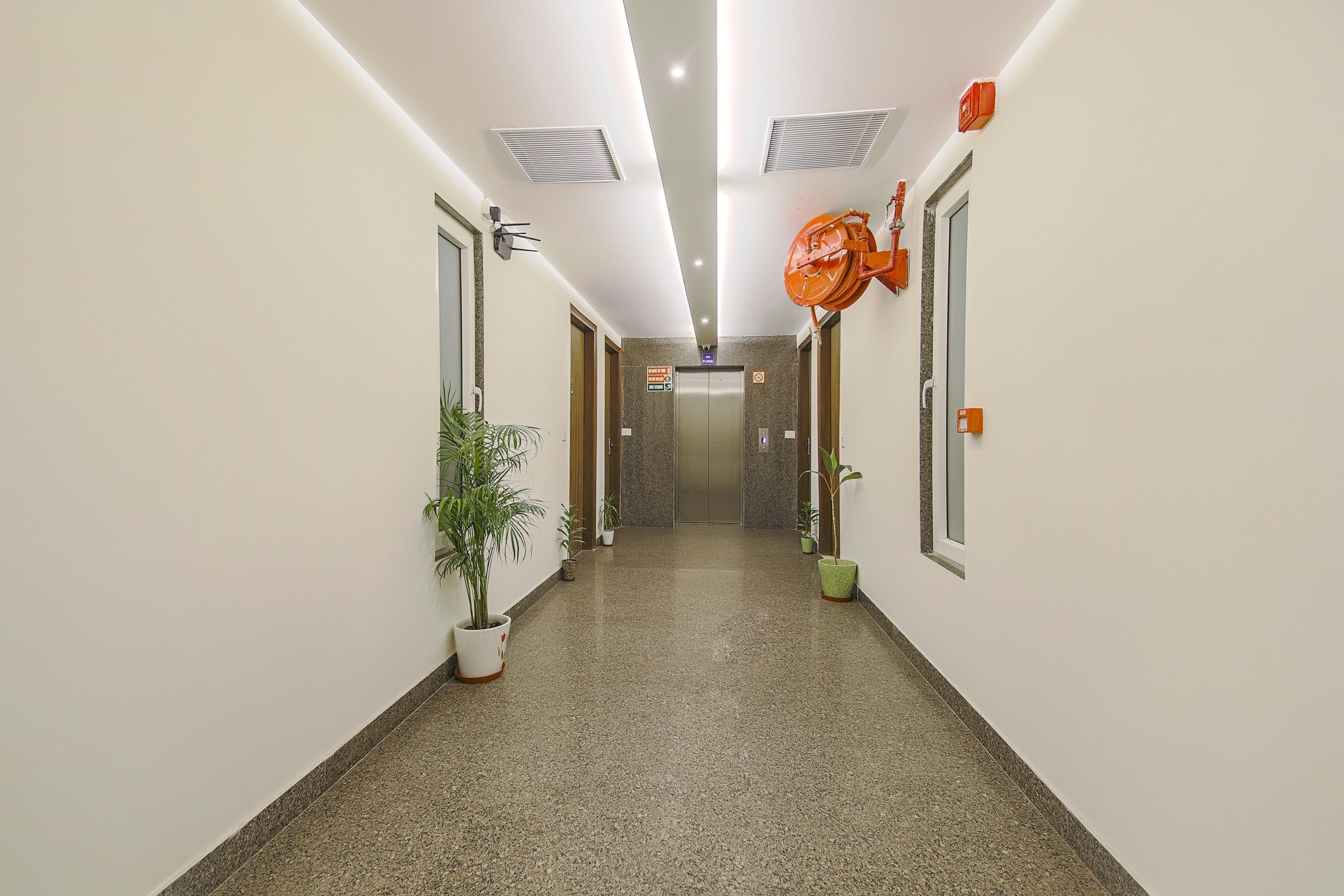 A hallway with a ceiling light, a fire hose reel, and a potted plant.