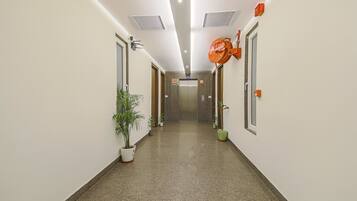 A hallway with a ceiling light, a fire hose reel, and a potted plant.