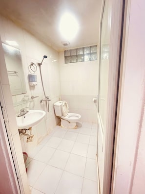 Un baño con inodoro, lavamanos y ducha.