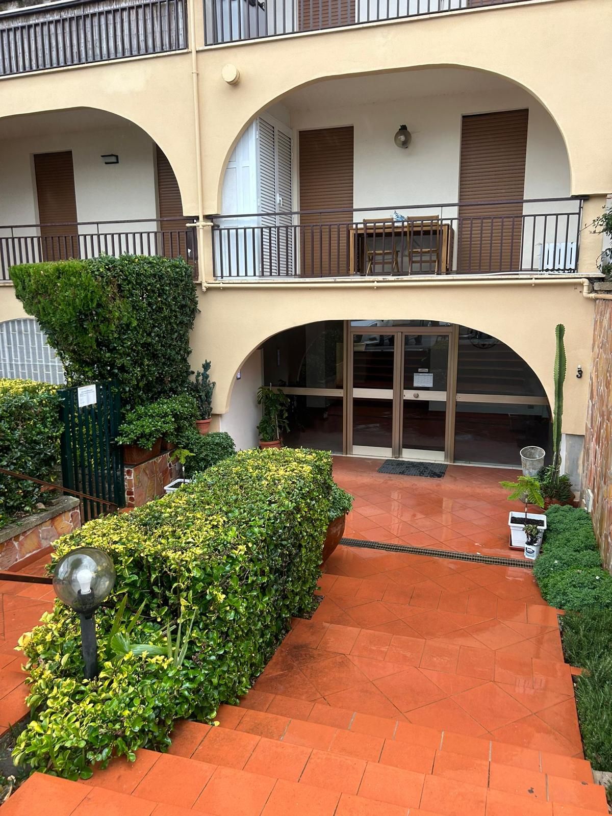 Un cortile con un percorso centrale, circondato da siepi curate e piante in vaso.