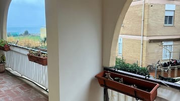 Un balcone con piante in vaso, una ciotola di metallo e vista sul mare.