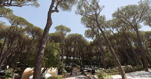 A campground with multiple tents and trees. - Continental Camping Village  (Marina di Castagneto Carducci)