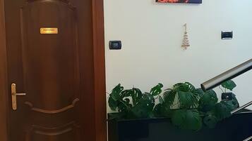A room with a wooden door, a wall-mounted air conditioning unit, a framed picture, and a potted plant.