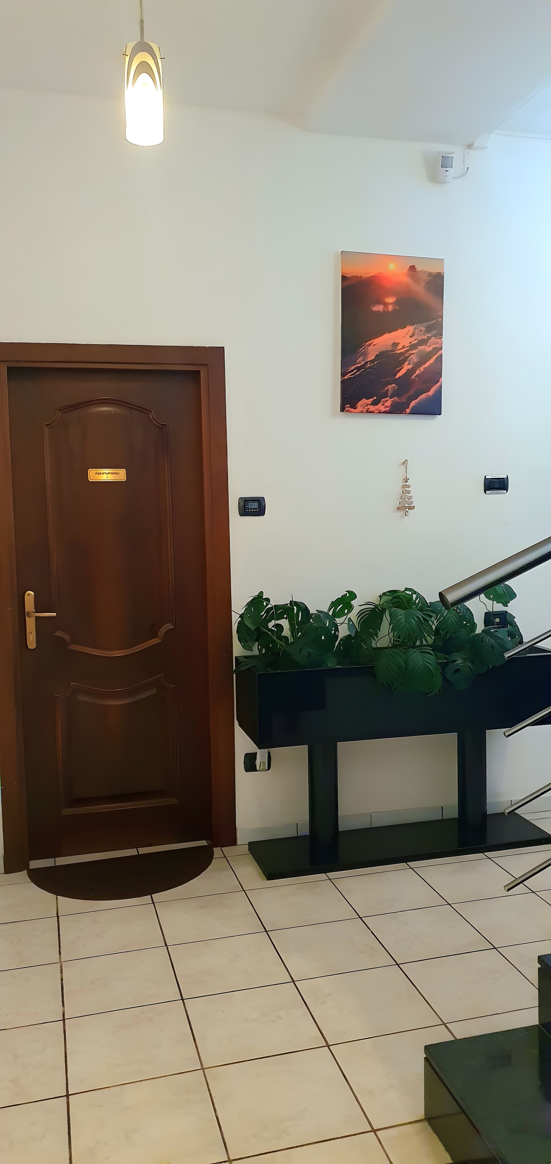 Una stanza con una porta in legno, un condizionatore d'aria a muro, un quadro incorniciato e una pianta in vaso.