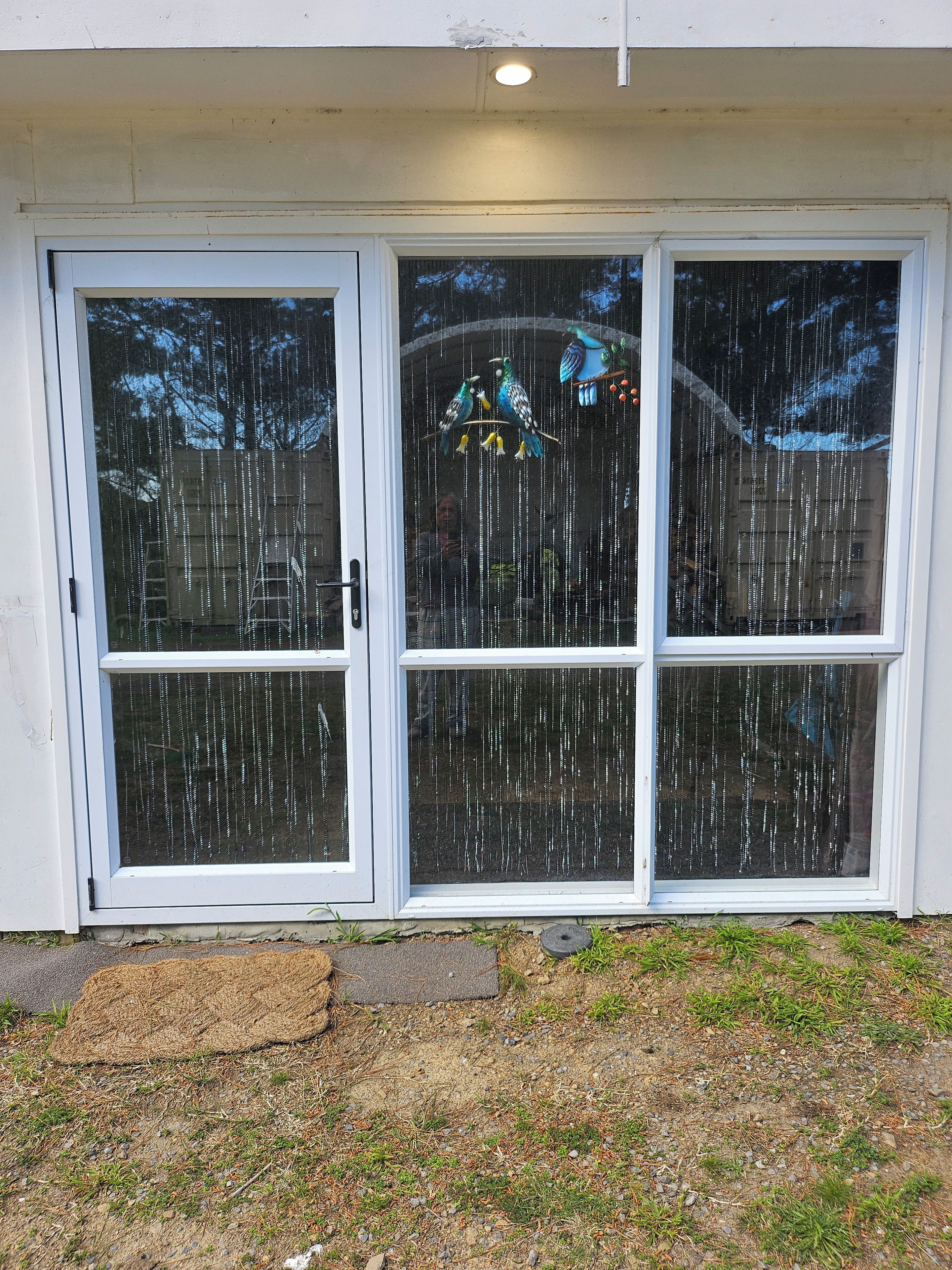 A set of white-framed windows with a clear view of the outside.