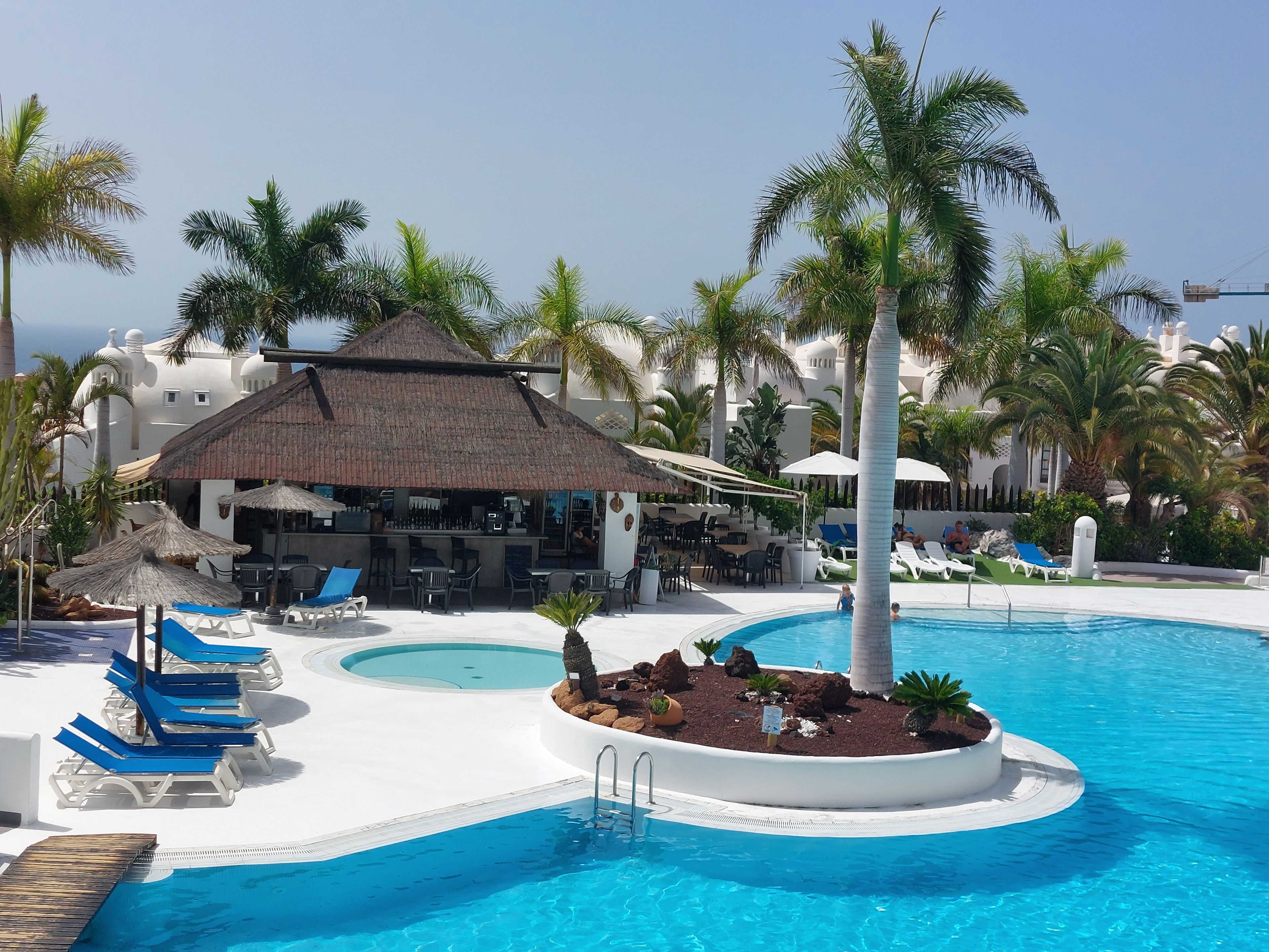 Un espace piscine avec des chaises longues, un bar et des palmiers.
