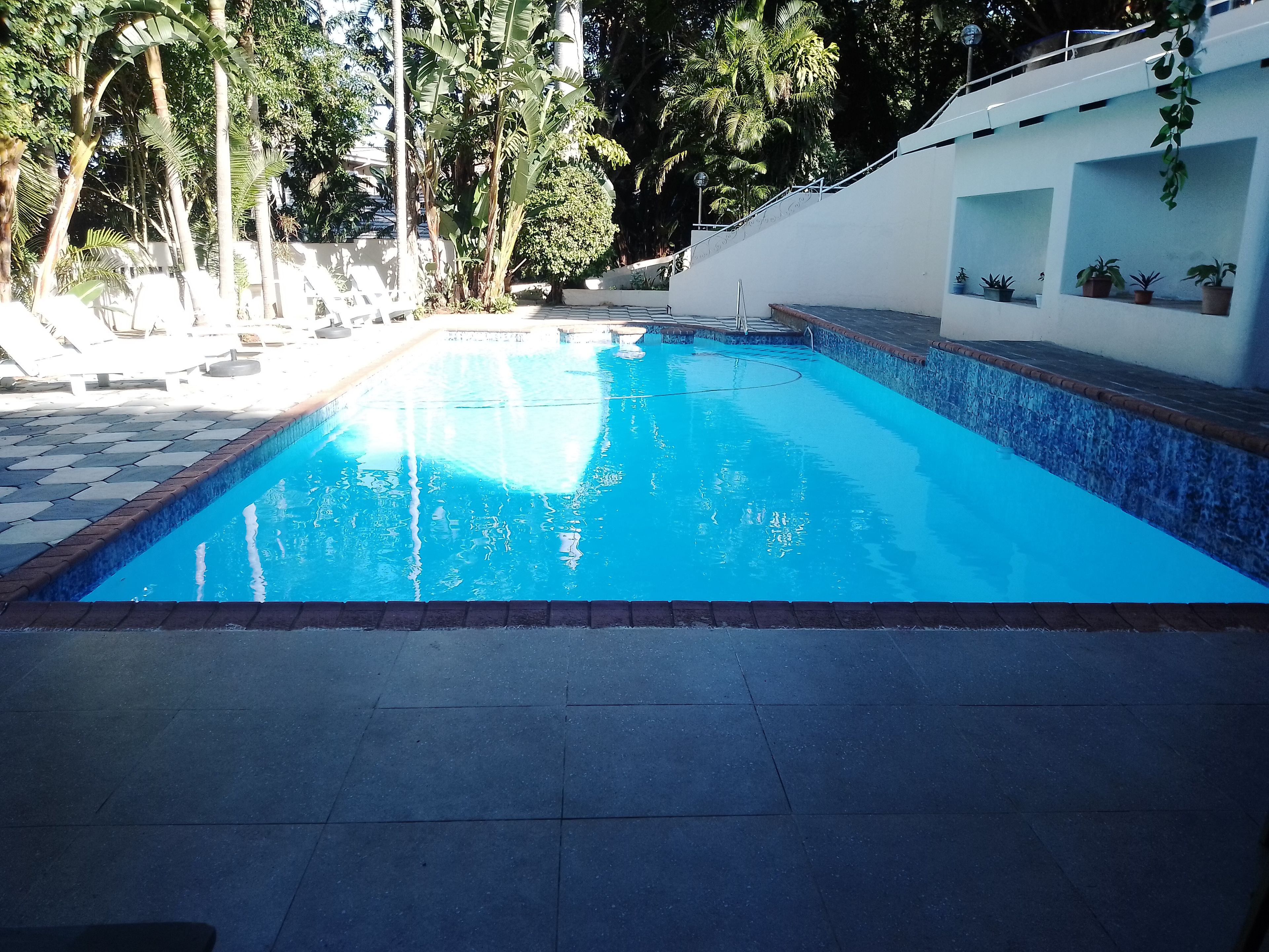Une piscine dont le bord est recouvert de carreaux, entourée de plantes en pot et d’arbres.