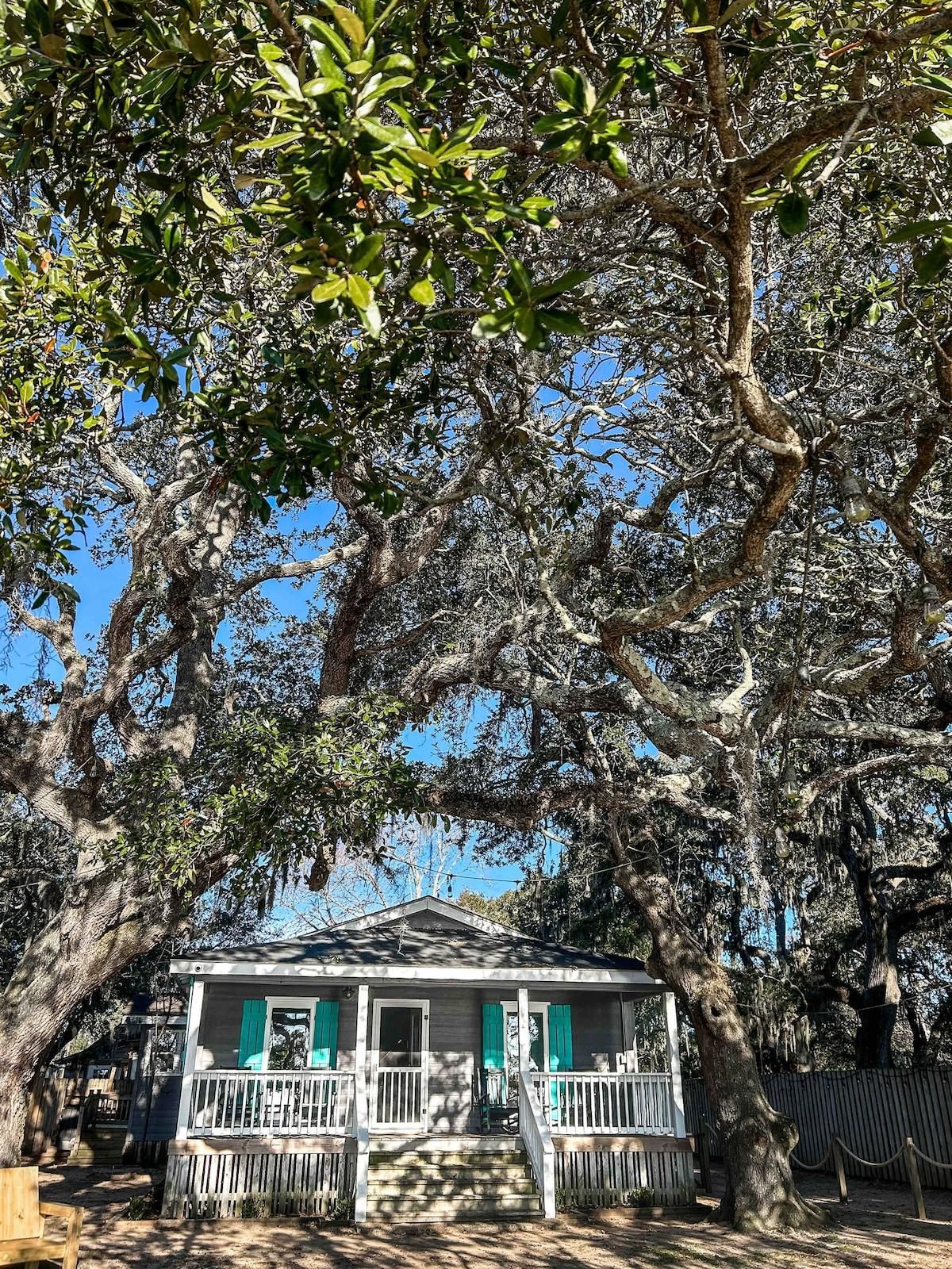A house with a porch, surrounded by large trees.