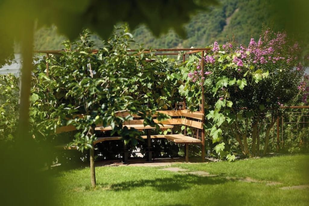 Un banc en bois dans un jardin, avec une structure en treillis métallique derrière.