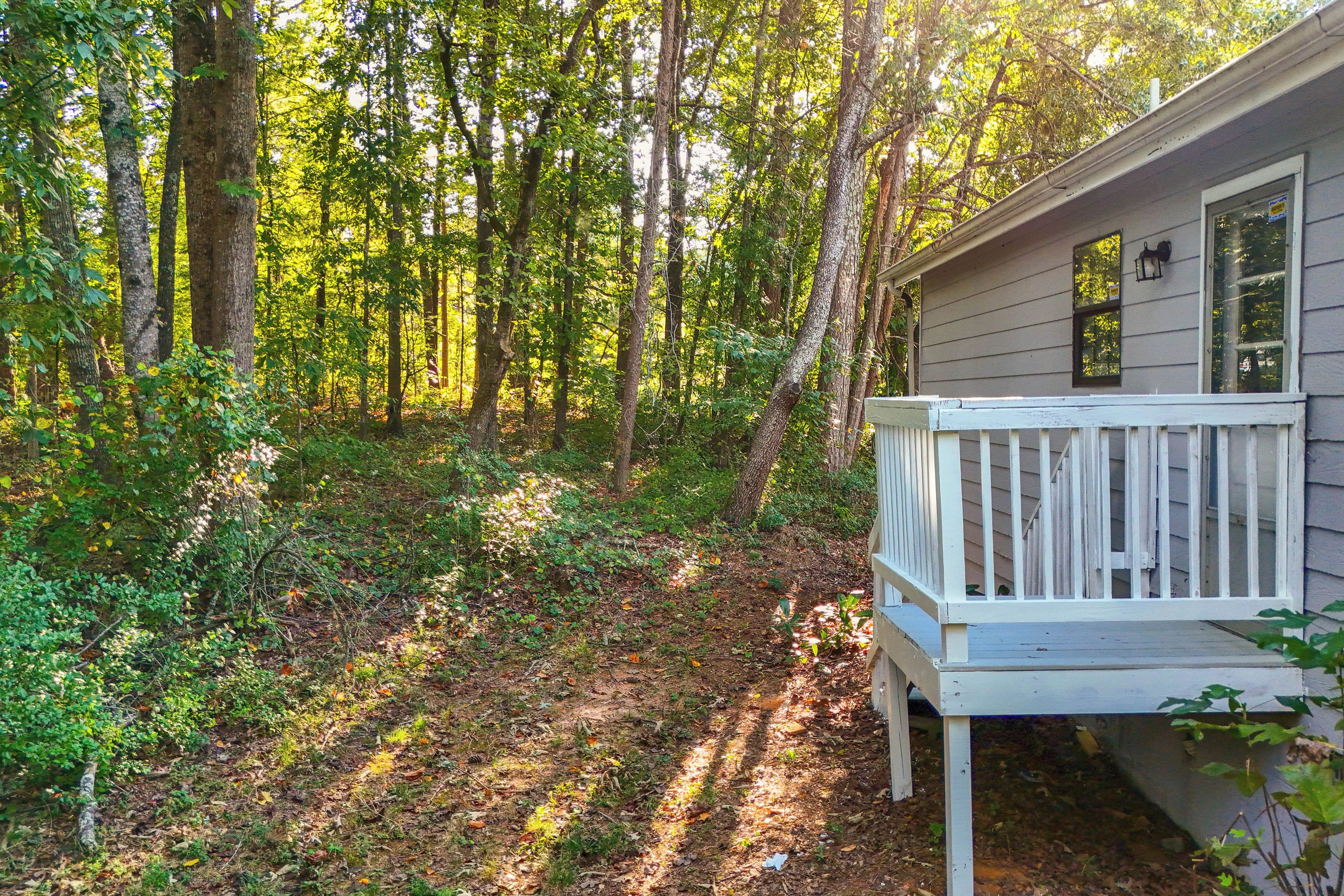 A cabin with a deck, surrounded by a forest with tall trees and a ground covered in leaves.