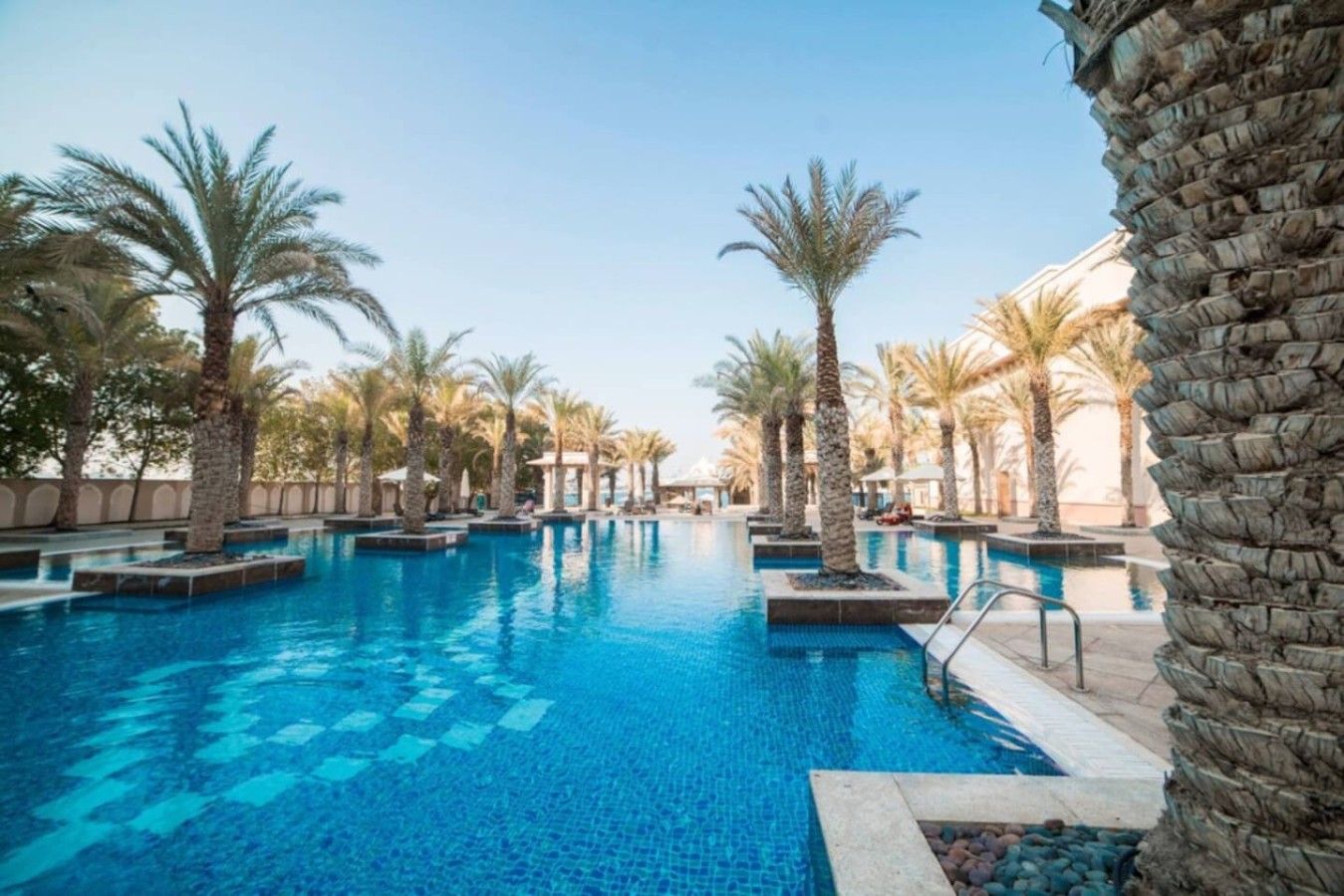 A swimming pool with palm trees and a stone wall.