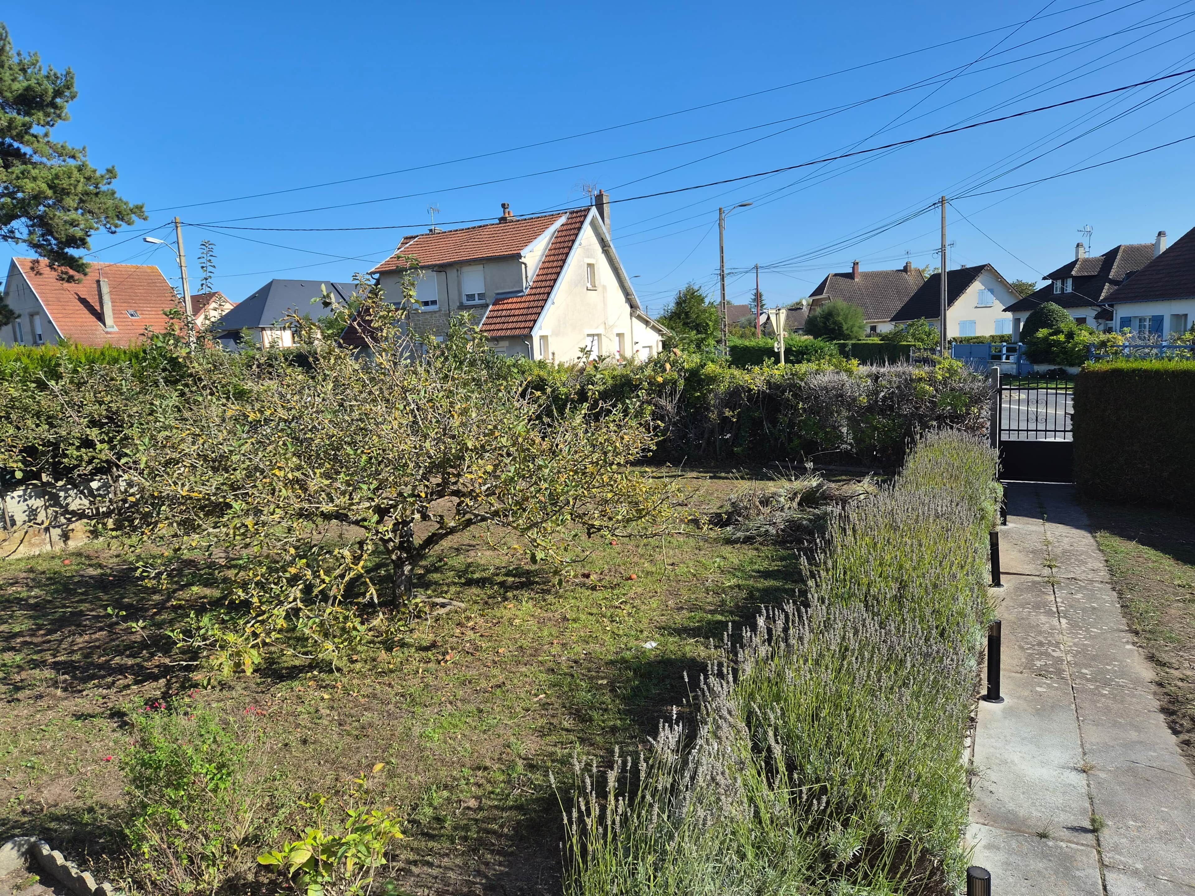 A residential area with houses, a pathway, and a hedge.